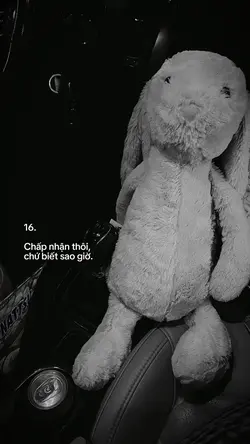 Caption + Màu