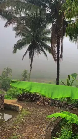 Suasana Pedesaan