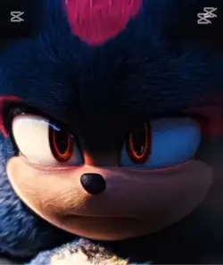 Sonic and Shadow