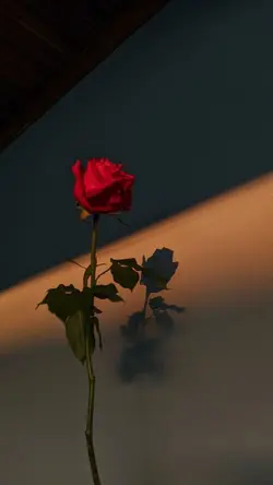 chor Aesthetic clip
