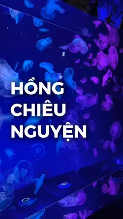 Slow nhạc siêu cuốn