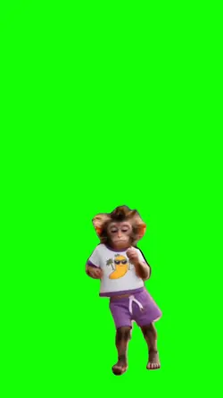 Monkey dance 