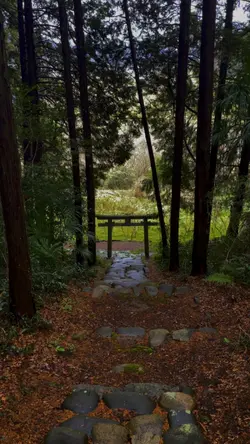 夏目友人帳