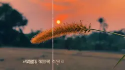 আল্লাহ তায়ালা বলেন. 