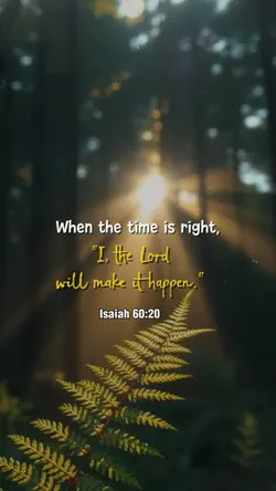 WWN D TIME IS RIGHT