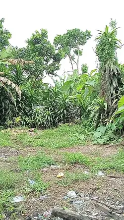 menghilang