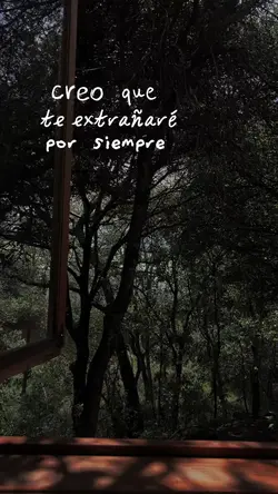 Summertime Sadness