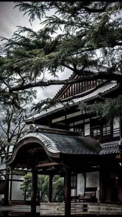pic 8 ảnh 