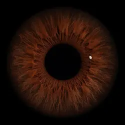 Eye template 