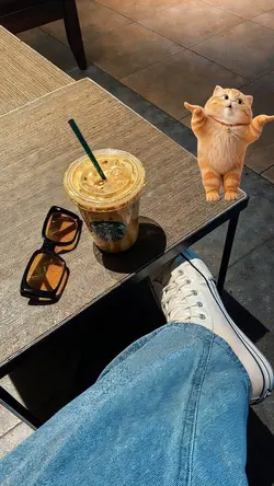 CAT DANCE