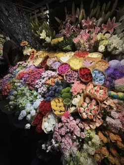 1 ẢNH MÀU + LYRIC 