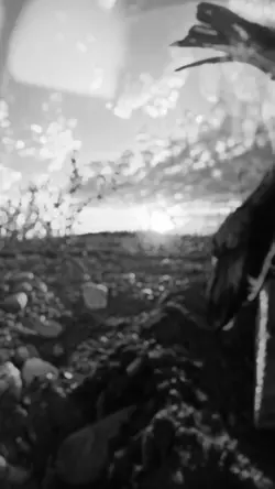 Sad slowmotion 
