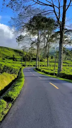 3 video clips HD 