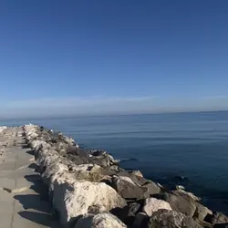 Photo live🌊
