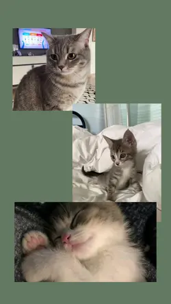 Cute