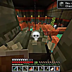 Minecraft skull edit