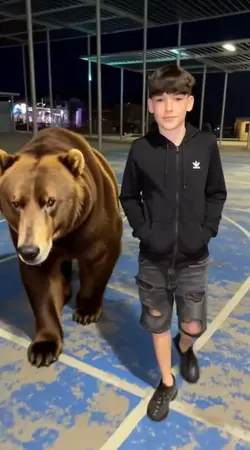 Bear