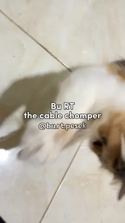Cable chomper