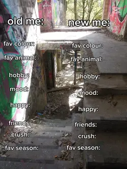 old me/new me