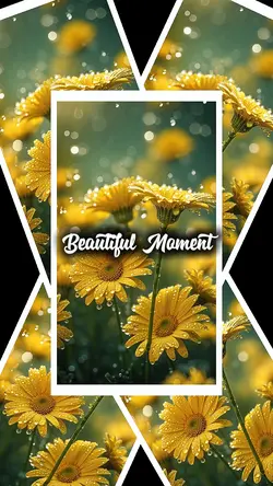 Beautiful Moment