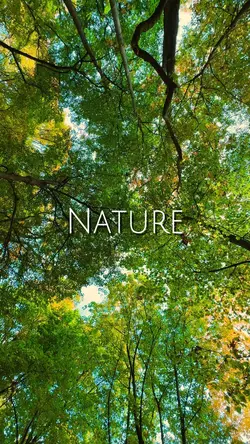Nature heals