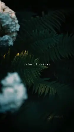 calm of nature
