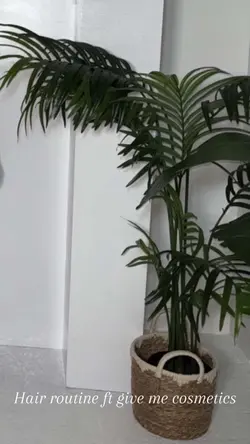Hair care routine 