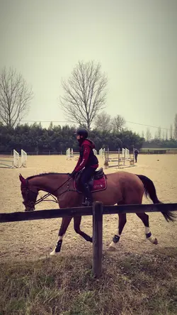 2016 slowmo 😼❣️
