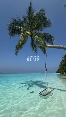 summer is blue