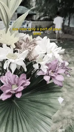 Visiting Hours