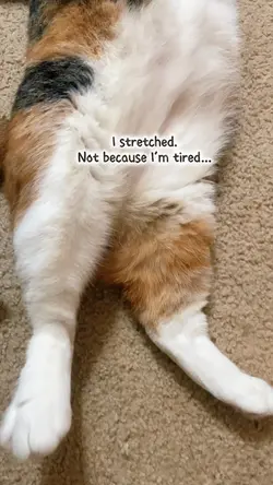 That big stretch 