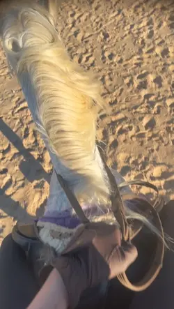 beach ride🌊🌊