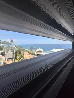 海
