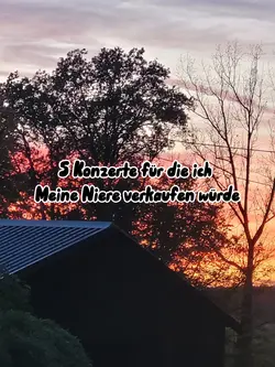 Konzerte 