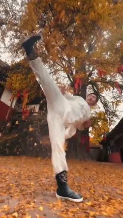 ai功夫