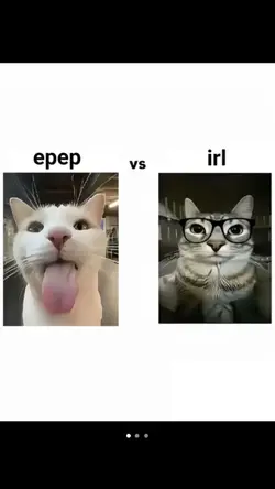 epep vs irl