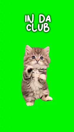 IN DA CLUB