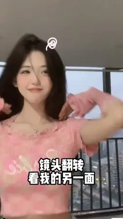 没pro