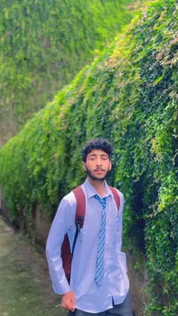 8k QUALITY