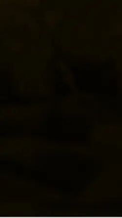 aral template