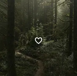 forest sounds ig?