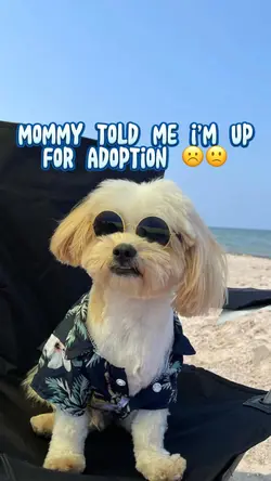 Don’t be sad! 