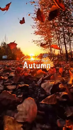 welcome autumn