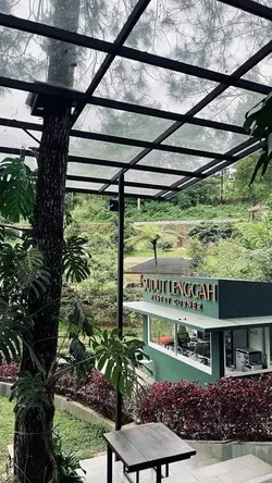 Aesthetic