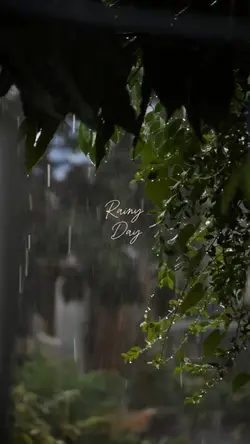rainy day