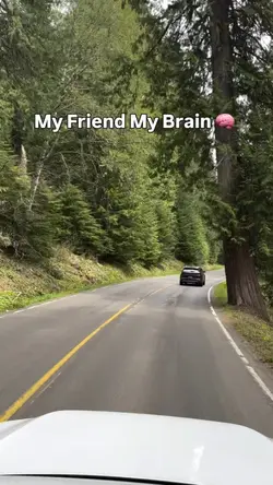my brain tell me