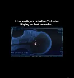 my 7 minutes >>>
