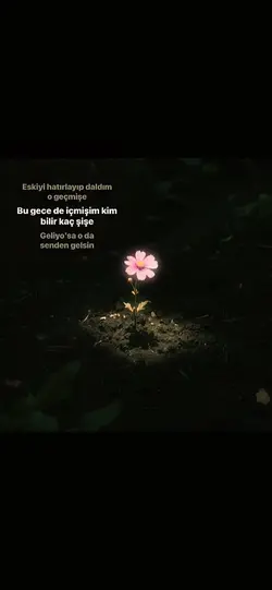 Oda senden gelsin