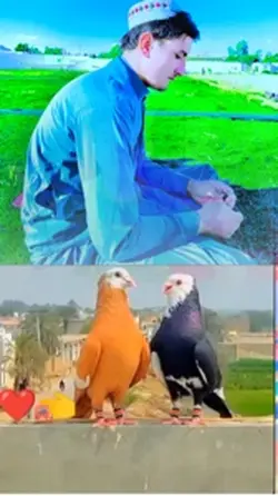 Now template