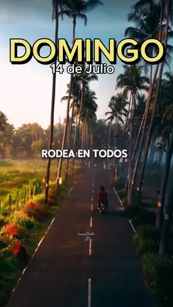 Domingo 14 de Julio